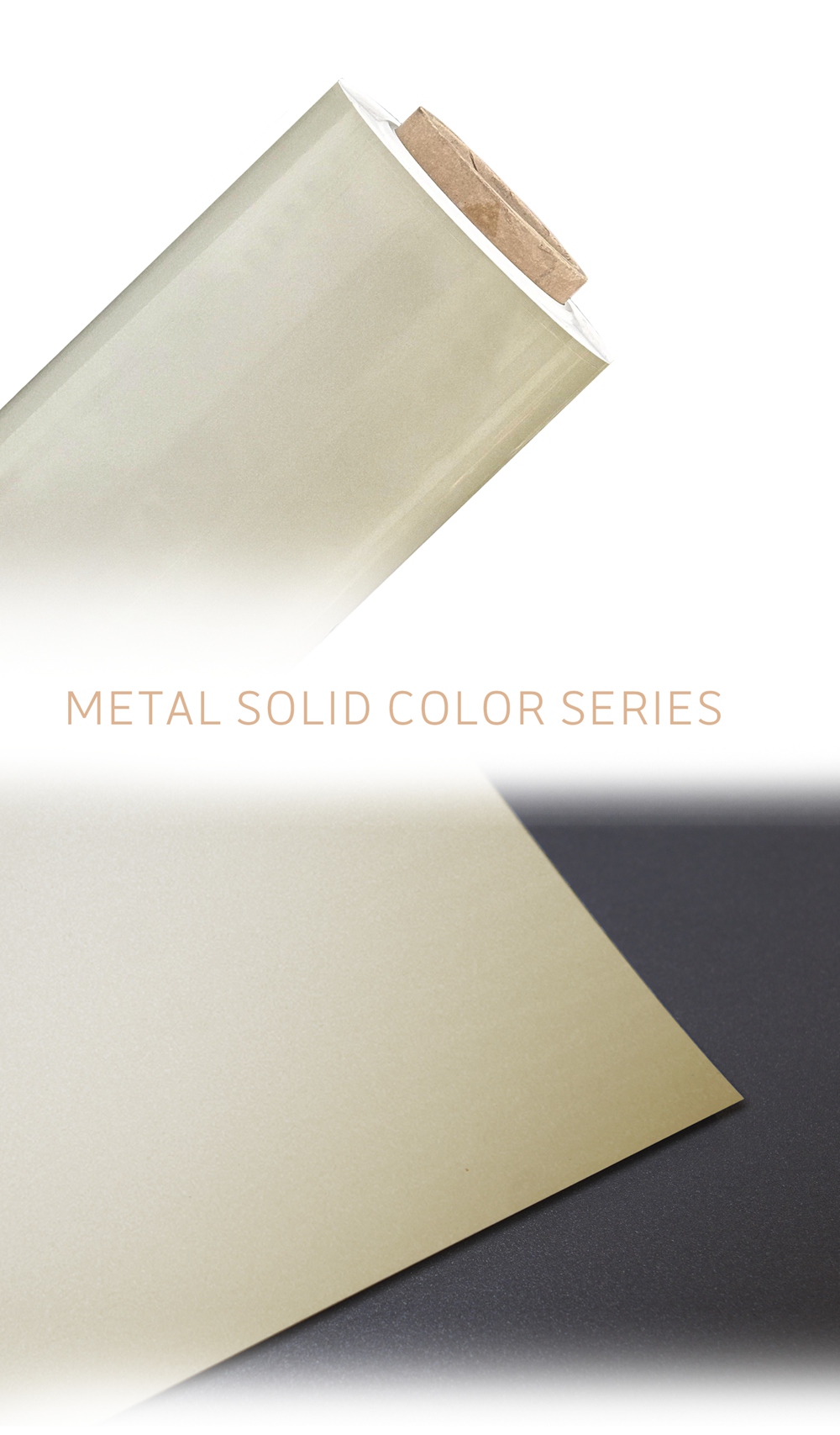 PET Film with Metalized Paint Finish